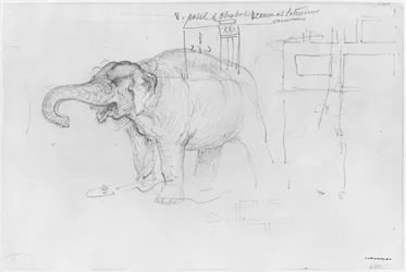 Album of the Siege of Paris, Elephant